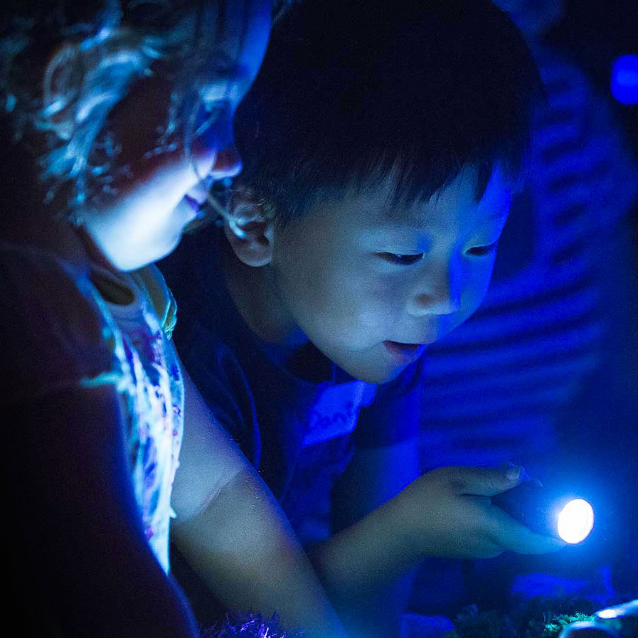 Children playing with torches in the dark